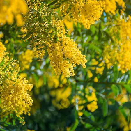 公寓 A St-raphael Avec Terrasse Et Parking, A 100m De La - Fr-1-226a-23 Saint-Raphaël